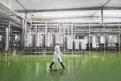 走进新乳业智能工厂 低温业务双位数引领增长，生物芯与数智化双轮驱动企业管理创新