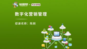 企业管理人员与管理咨询 构成、职能与协同